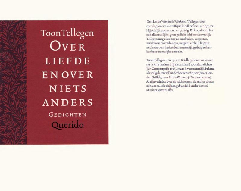 Omslag van Over liefde en over niets anders
