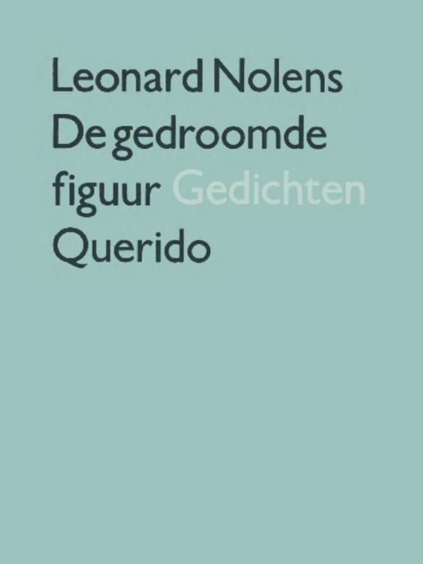 Omslag van De gedroomde figuur