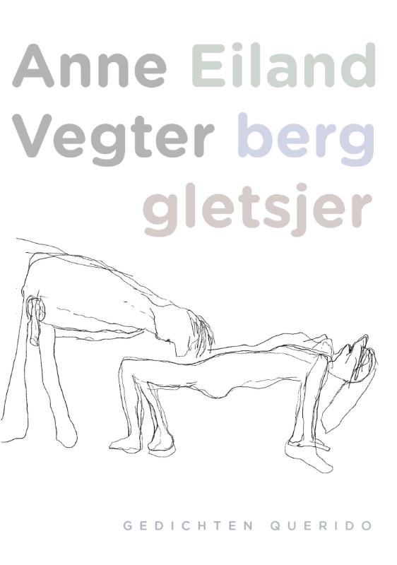 Omslag van Eiland berg gletsjer