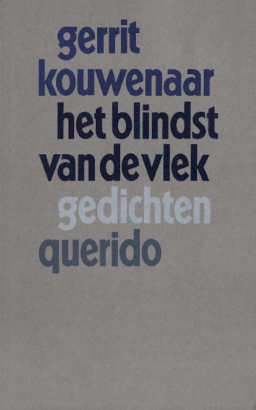 Omslag van Het blindst van de vlek
