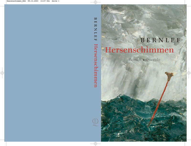 Omslag van Hersenschimmen