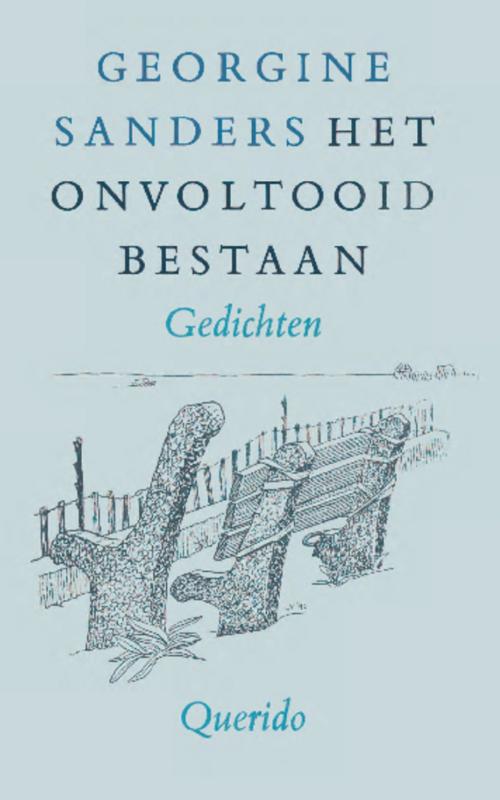 Omslag van Het onvoltooid bestaan
