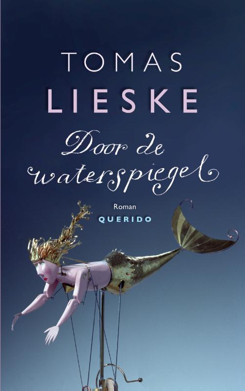 Omslag van Door de waterspiegel