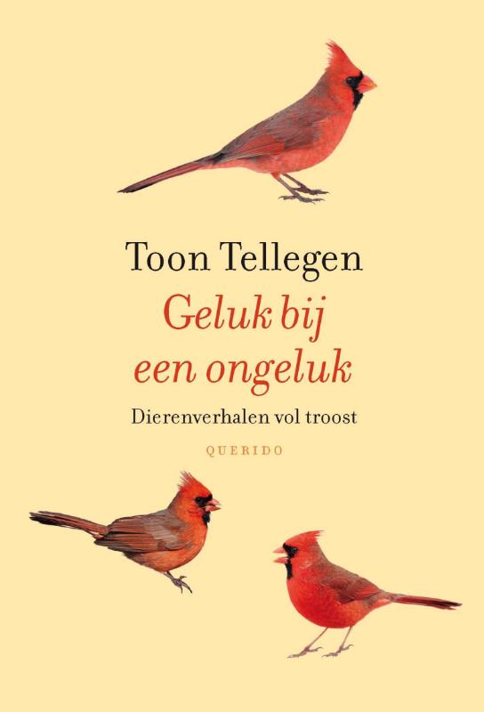 Omslag van Geluk bij een ongeluk