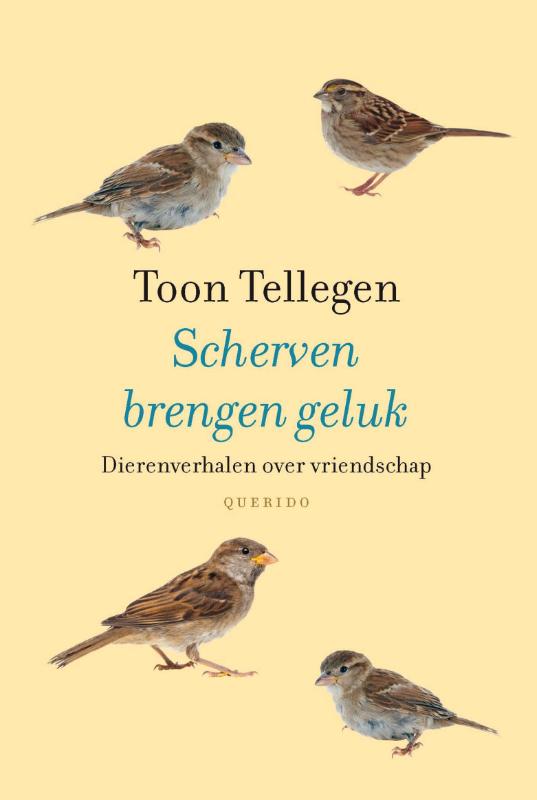 Omslag van Scherven brengen geluk
