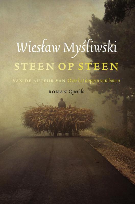 Omslag van Steen op steen