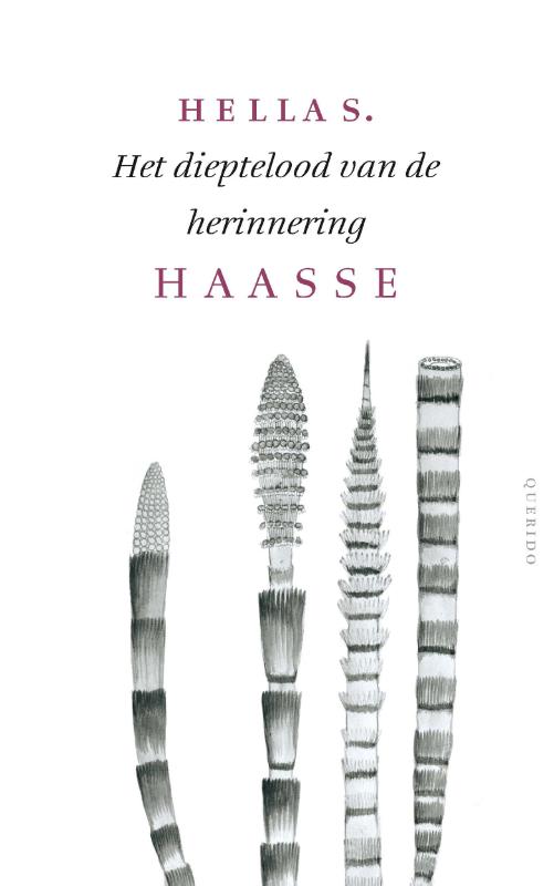 Omslag van Het dieptelood van de herinnering