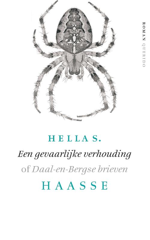 Omslag van Een gevaarlijke verhouding