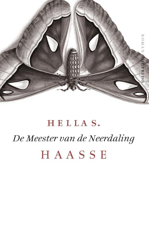 Omslag van De meester van de neerdaling