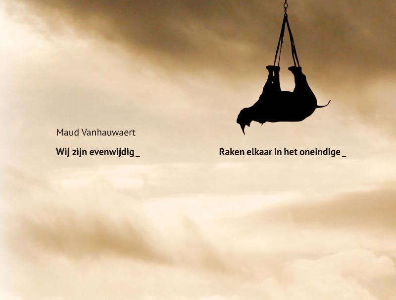 Omslag van Wij zijn evenwijdig
