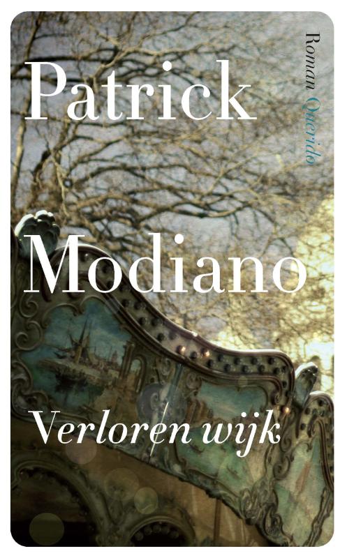 Omslag van Verloren wijk