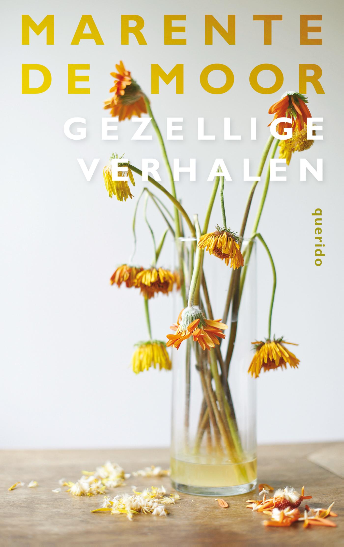 Omslag van Gezellige verhalen