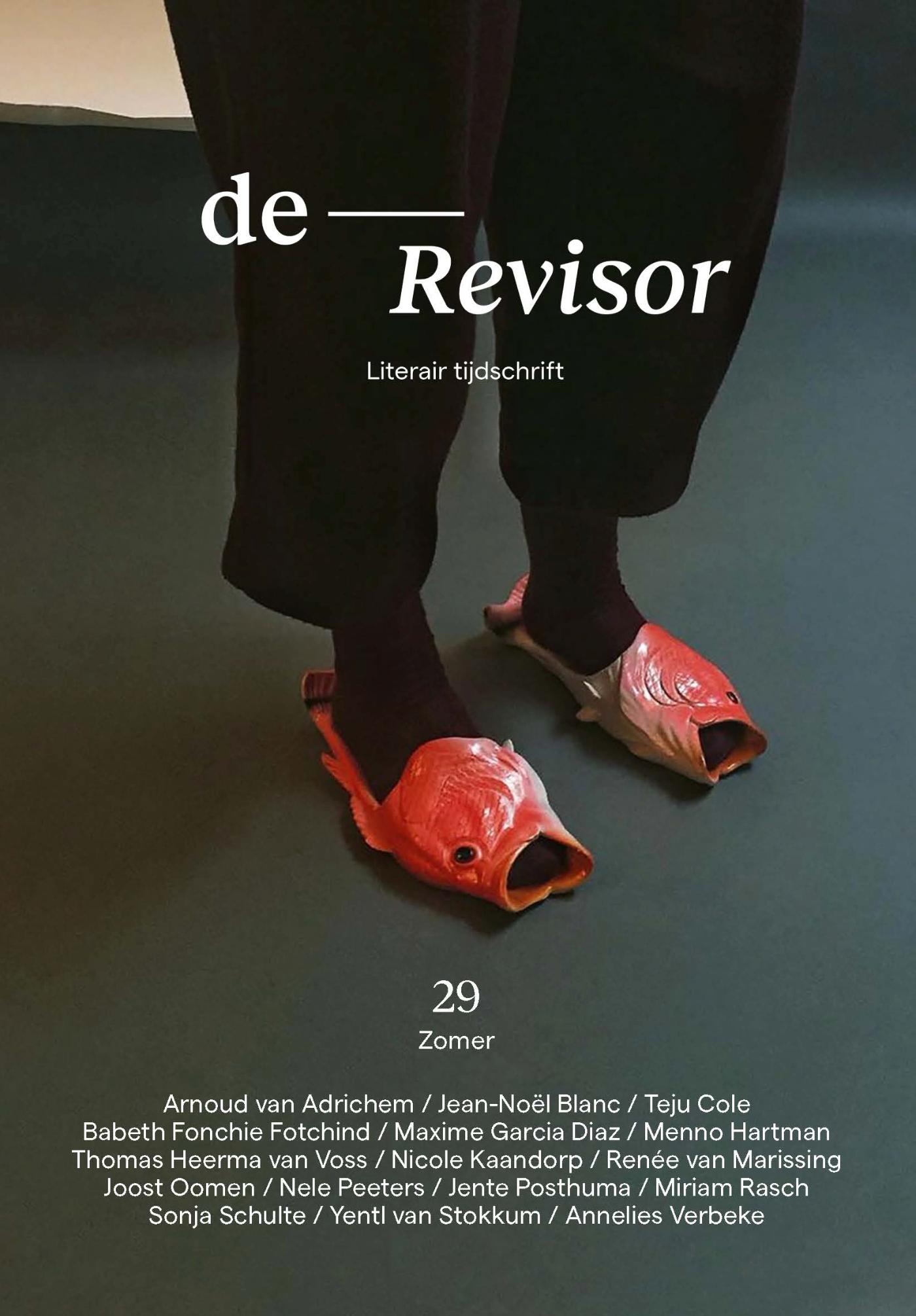 Omslag van Revisor 29