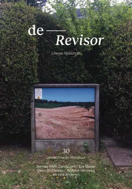 Omslag van Revisor 30