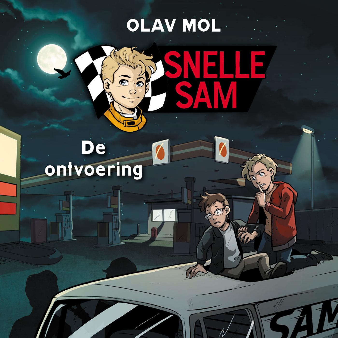 Omslag van De ontvoering