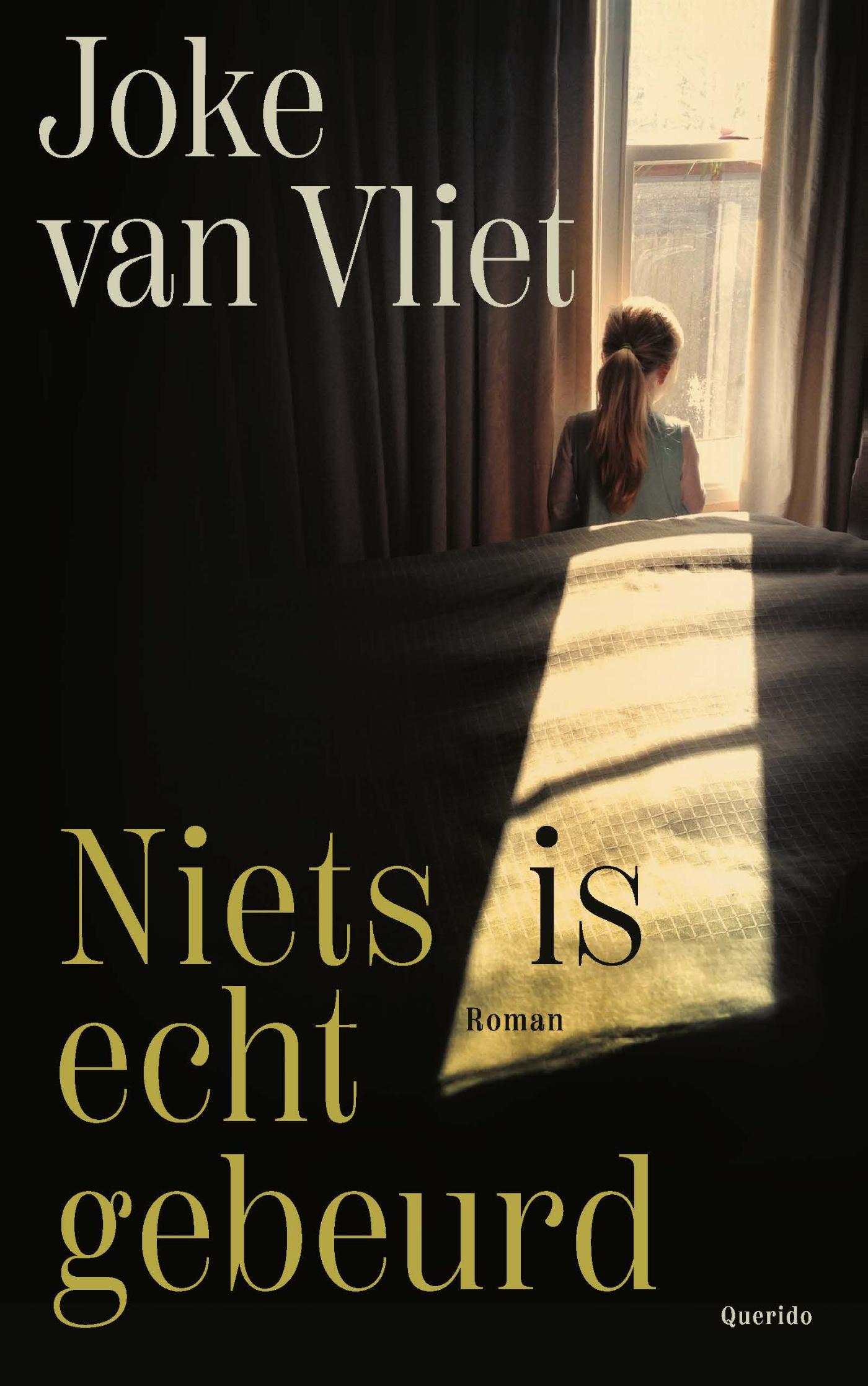 Omslag van Niets is echt gebeurd