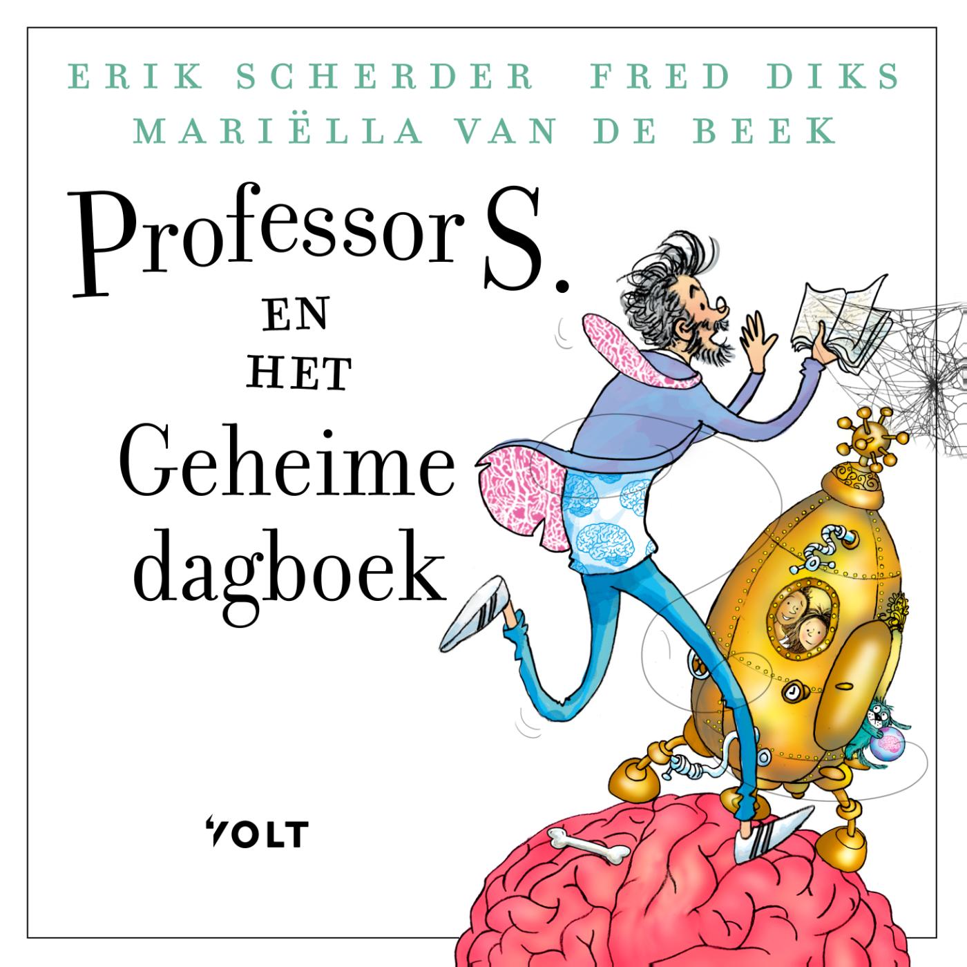 Omslag van Professor S. en het geheime dagboek