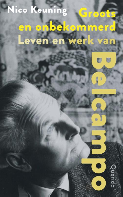 Omslag van Groots en onbekommerd