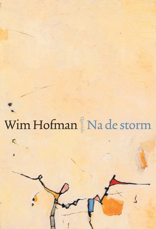 Omslag van Na de storm