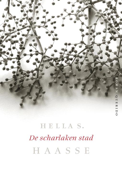 Omslag van De scharlaken stad