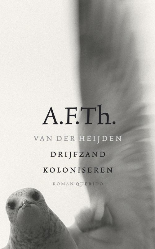 Omslag van Drijfzand koloniseren