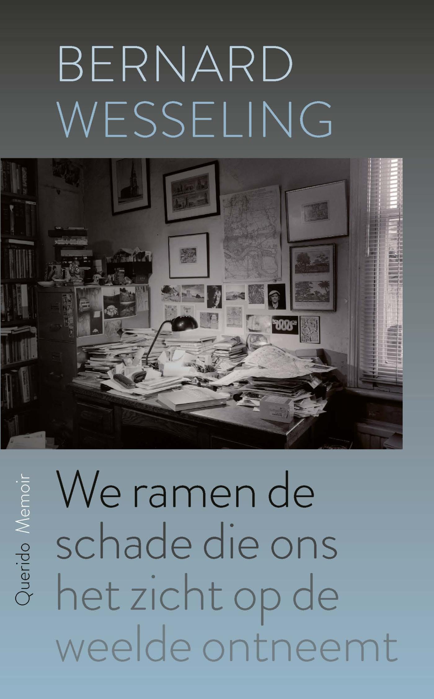 Omslag van We ramen de schade die ons het zicht op de weelde ontneemt