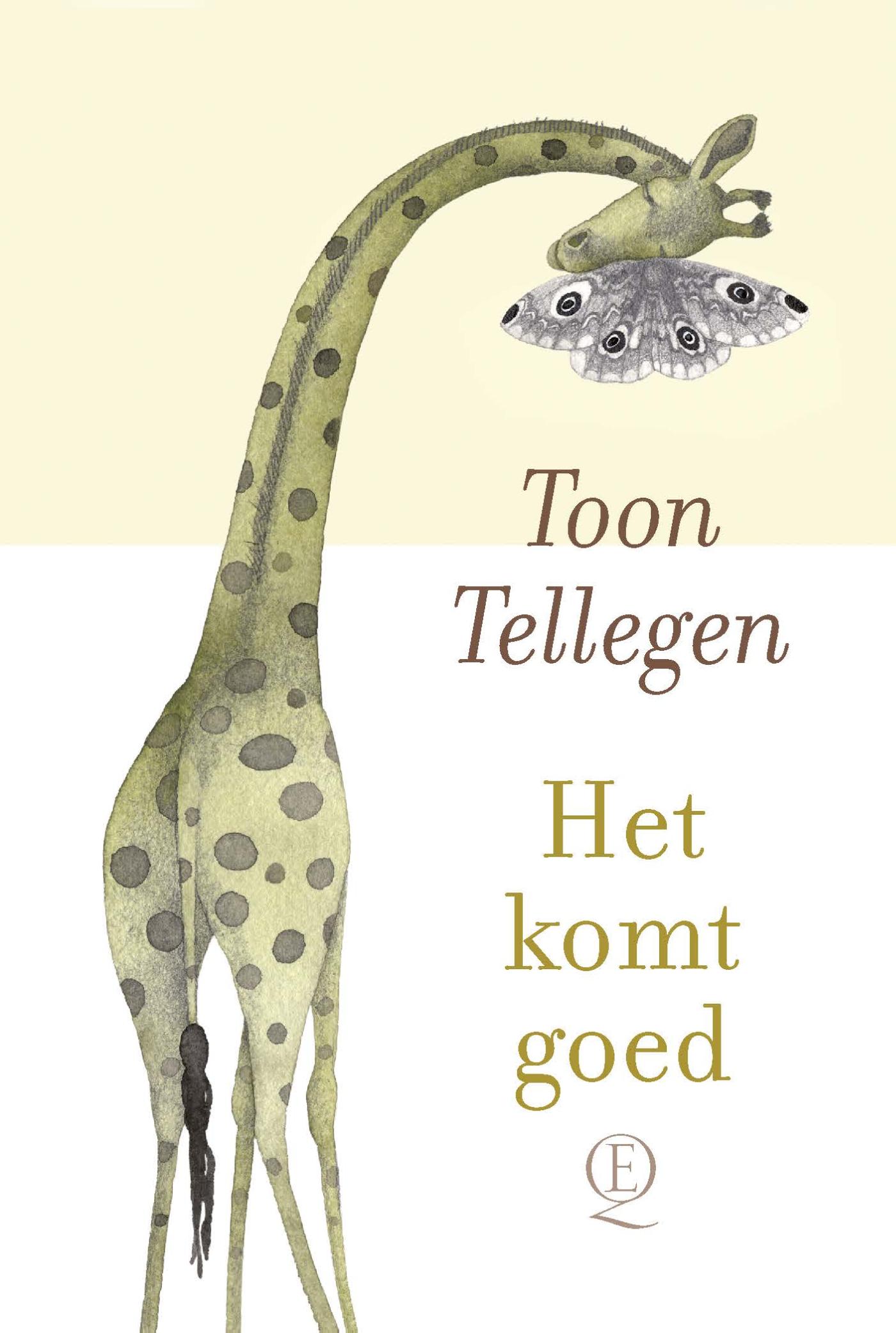 Omslag van Het komt goed