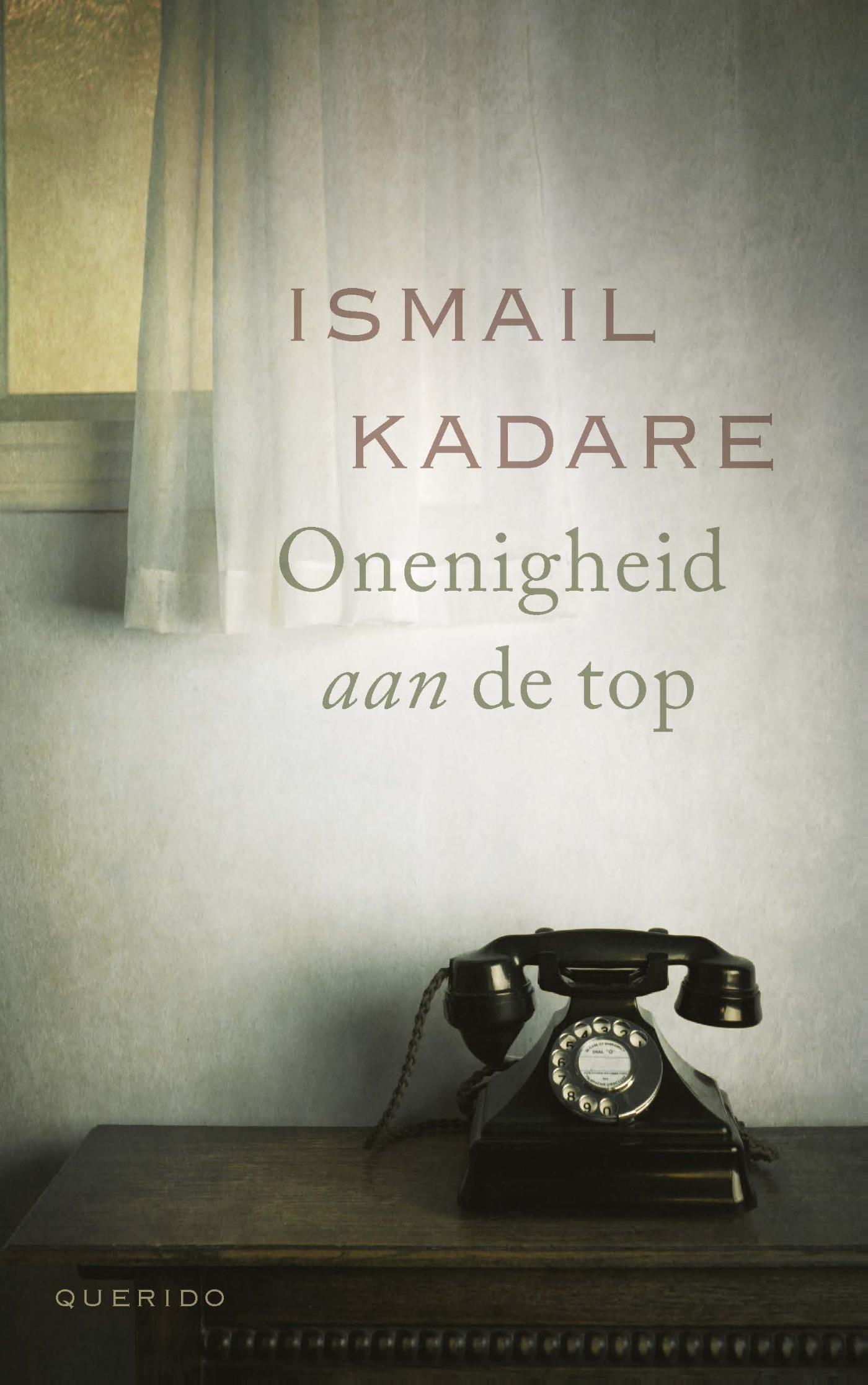 Omslag van Onenigheid aan de top