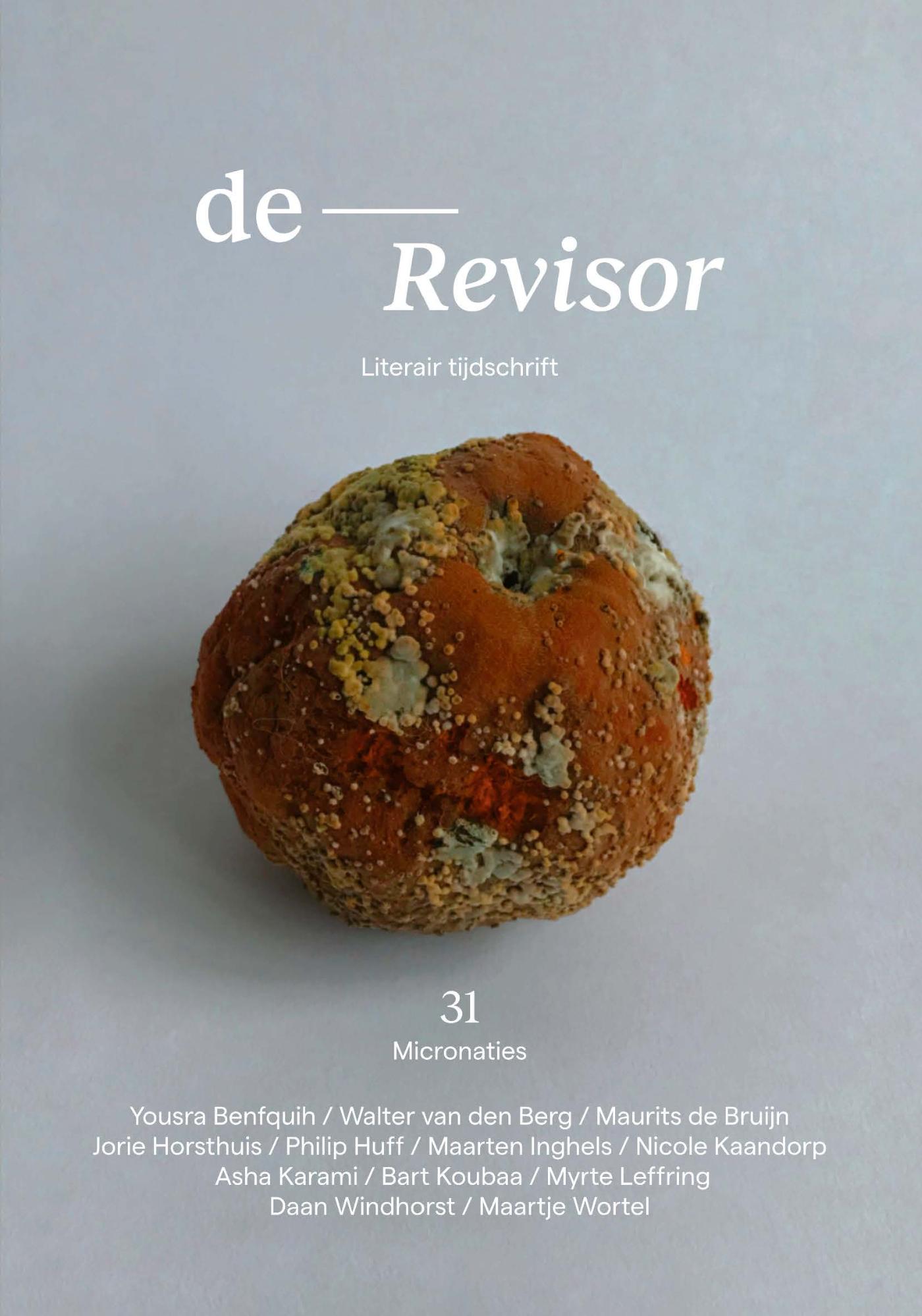 Omslag van Revisor 31