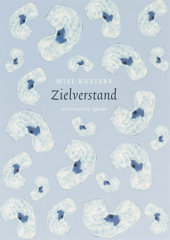 Omslag van Zielverstand