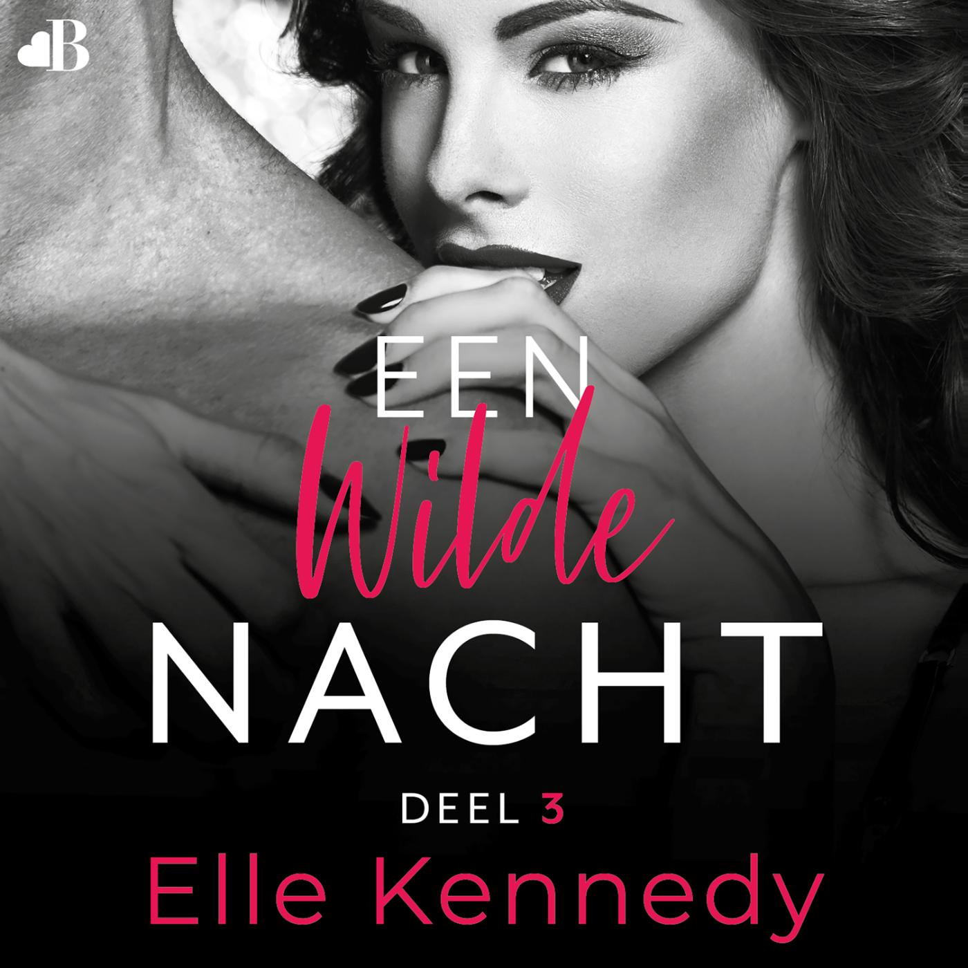 Omslag van Een wilde nacht