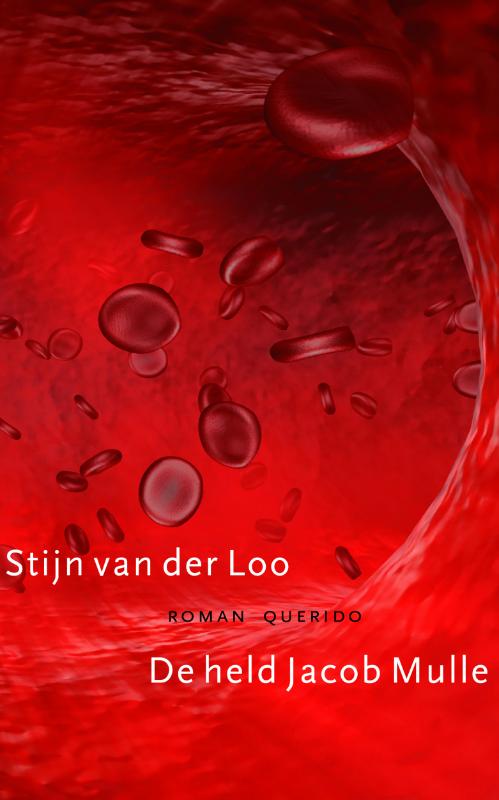 Omslag van De held Jacob Mulle