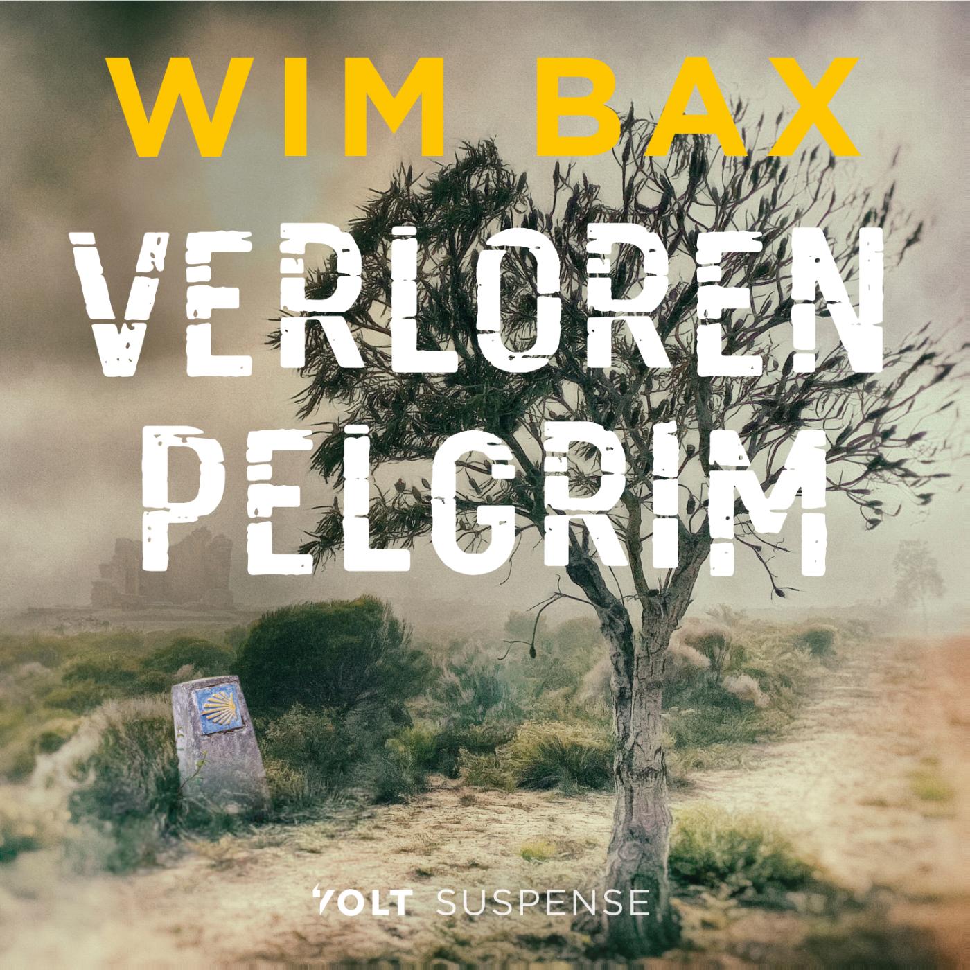 Omslag van Verloren pelgrim