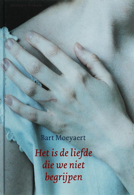 Omslag van Het is de liefde die we niet begrijpen