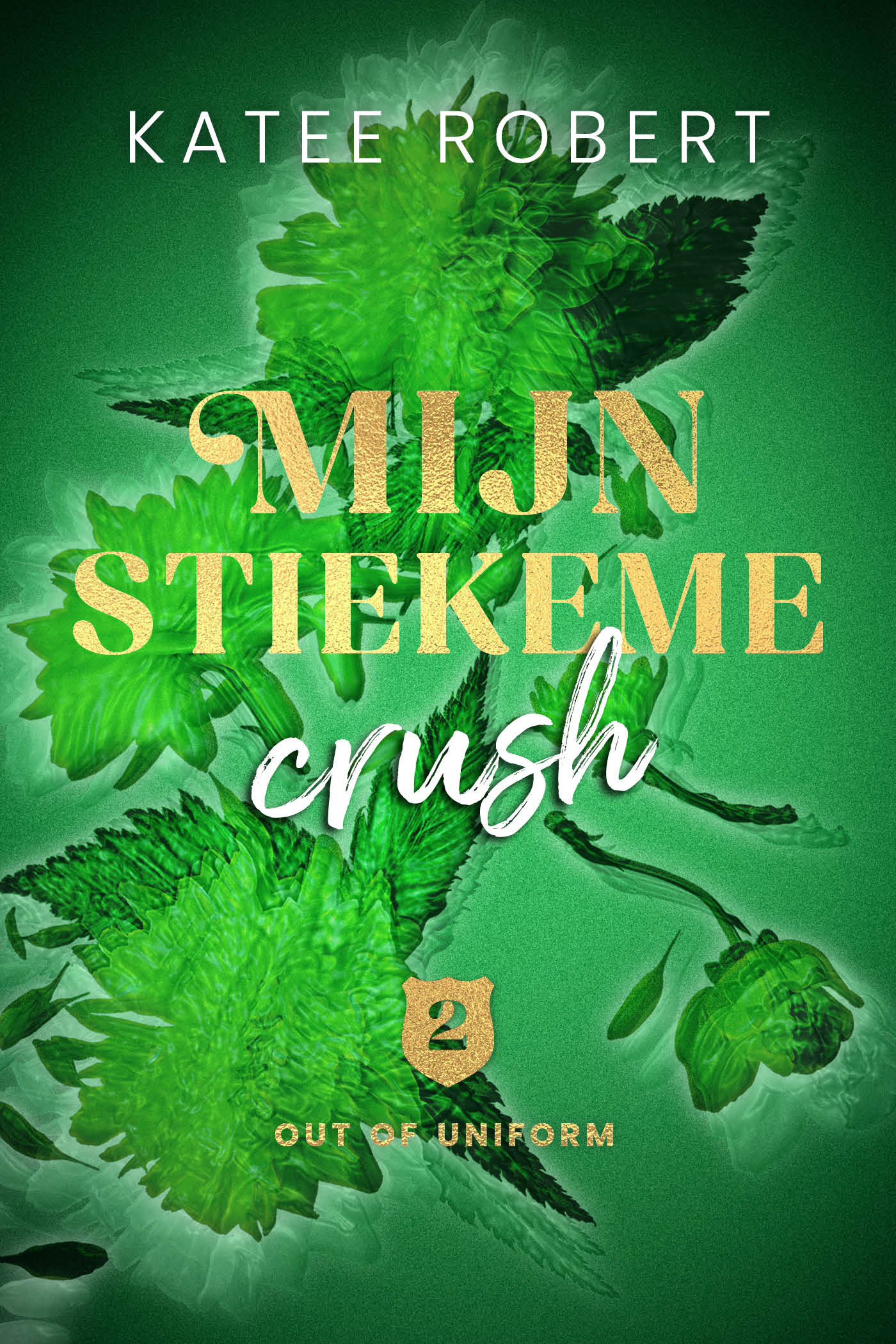Omslag van Mijn stiekeme crush