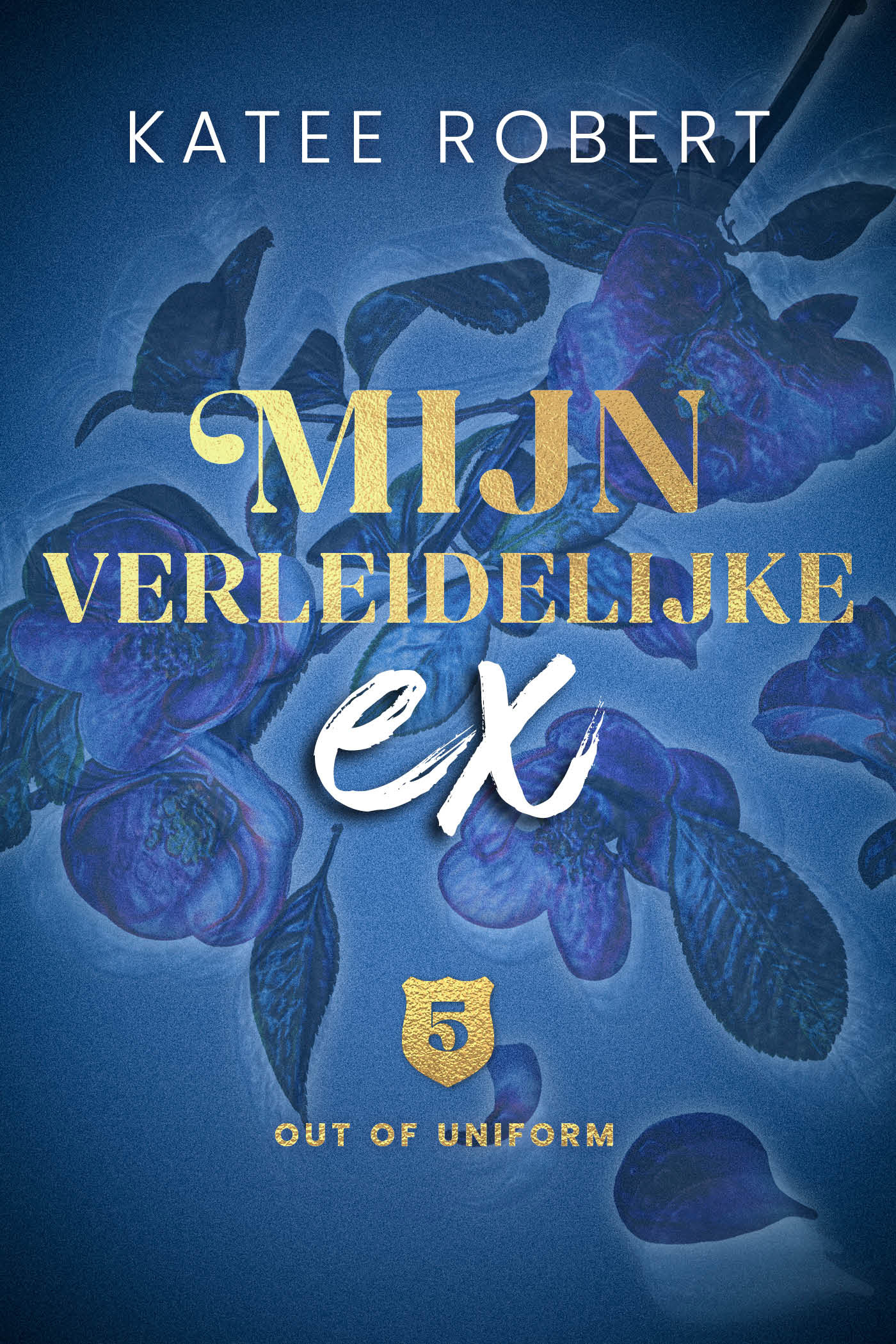 Omslag van Mijn verleidelijke ex
