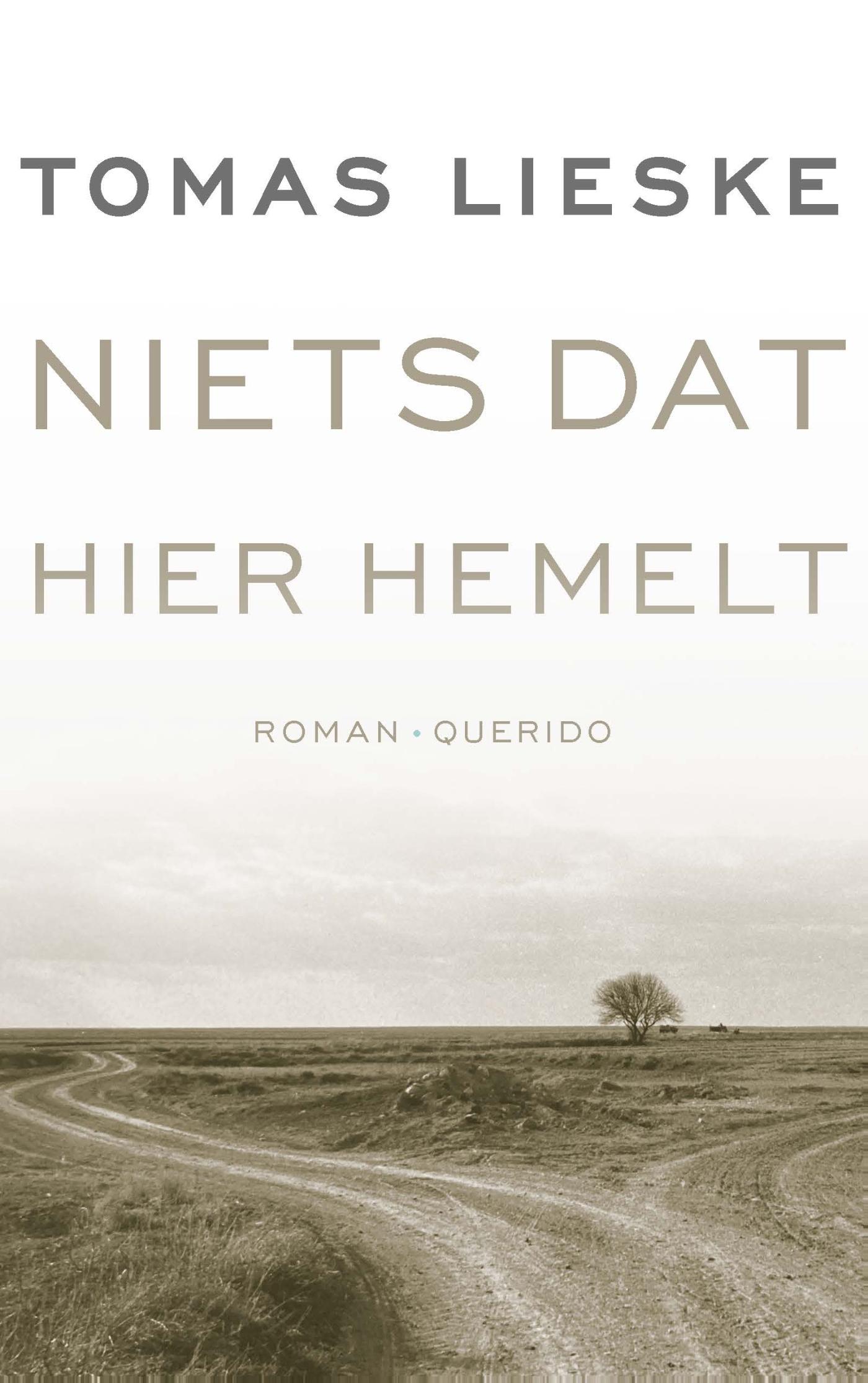 Omslag van Niets dat hier hemelt