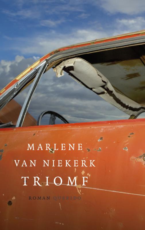 Omslag van Triomf