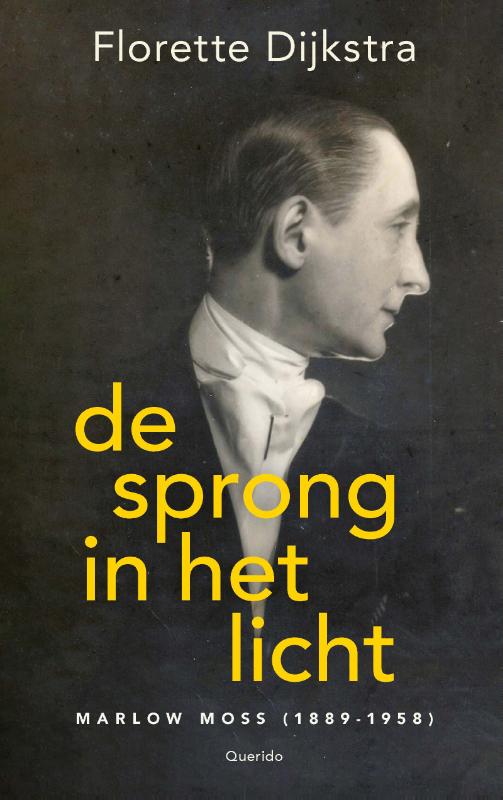 Omslag van De sprong in het licht