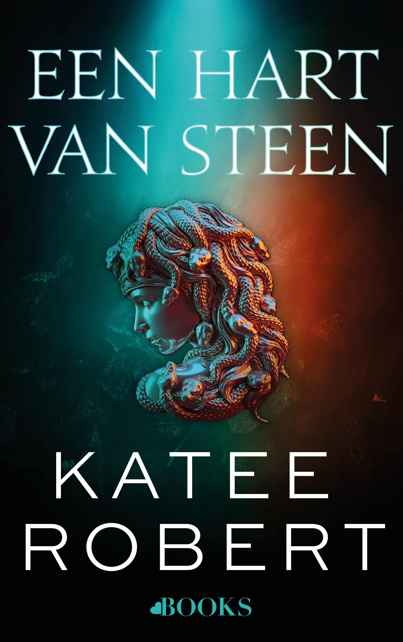 Omslag van Een hart van steen