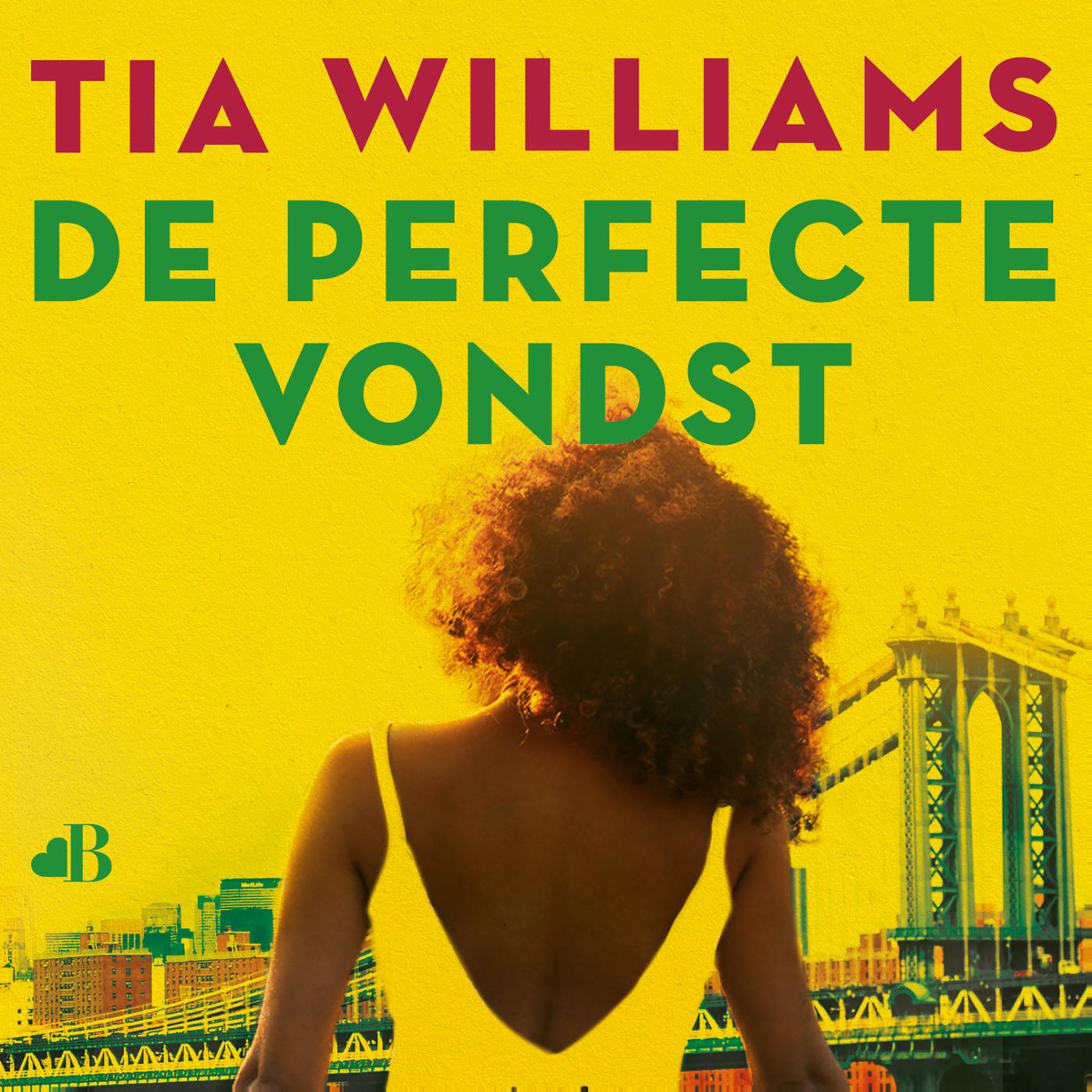 Omslag van De perfecte vondst