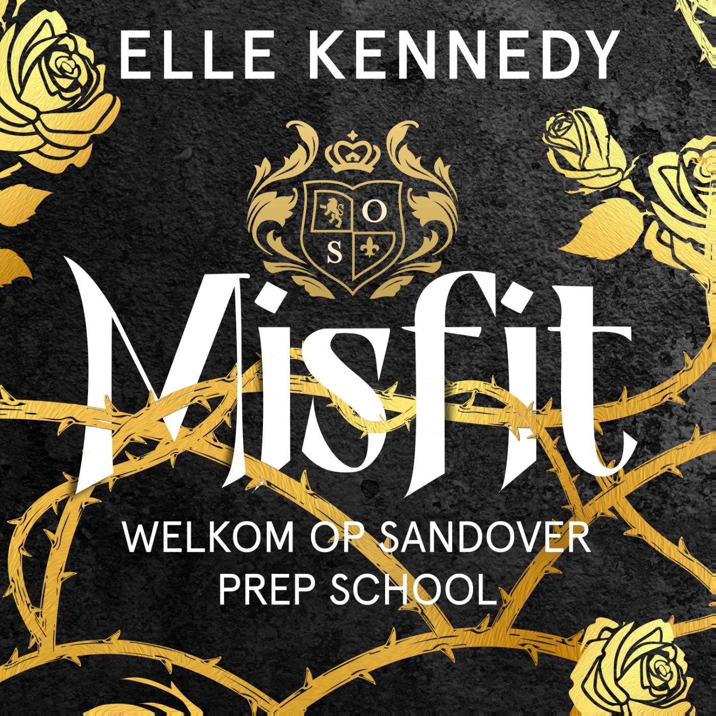 Omslag van Misfit
