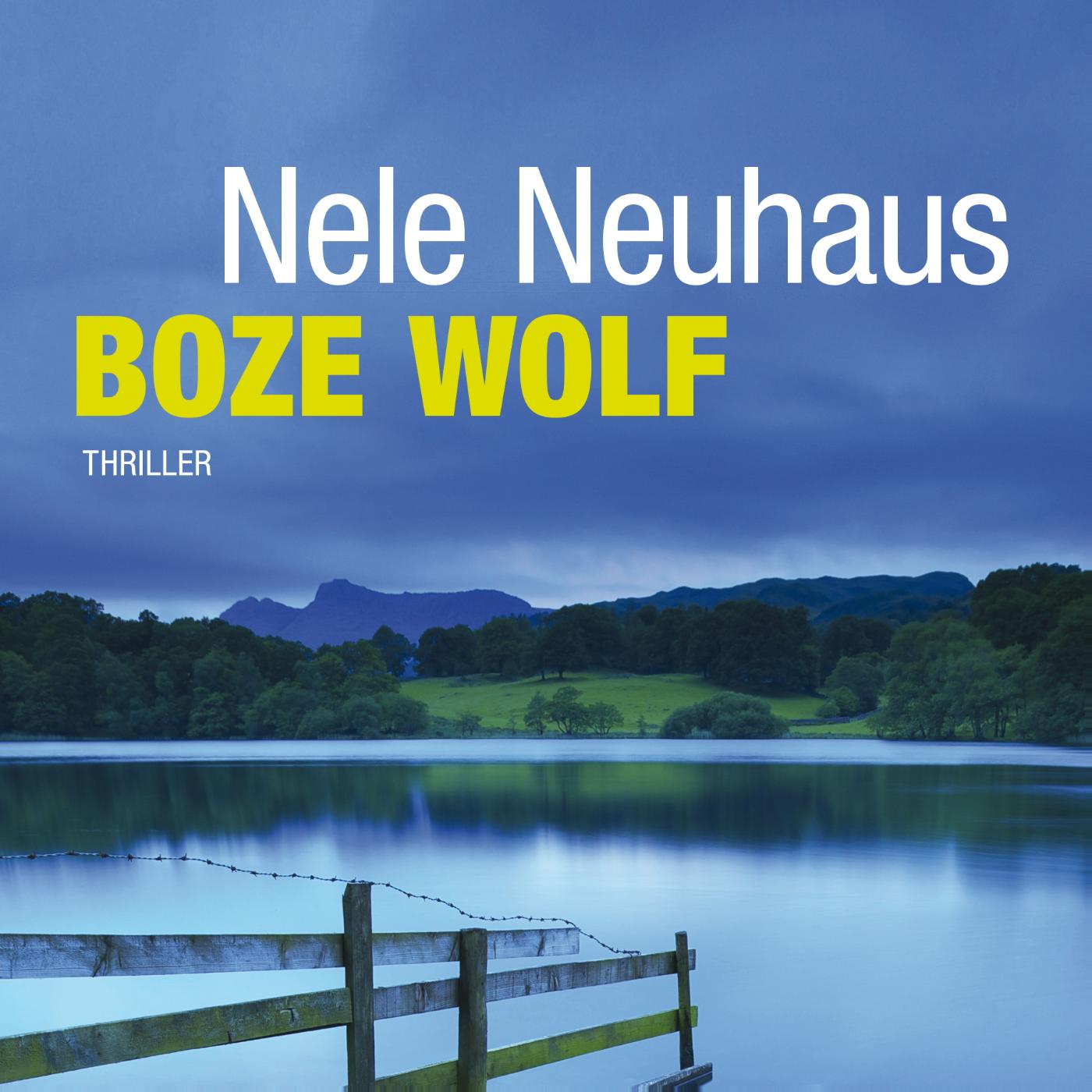 Omslag van Boze wolf