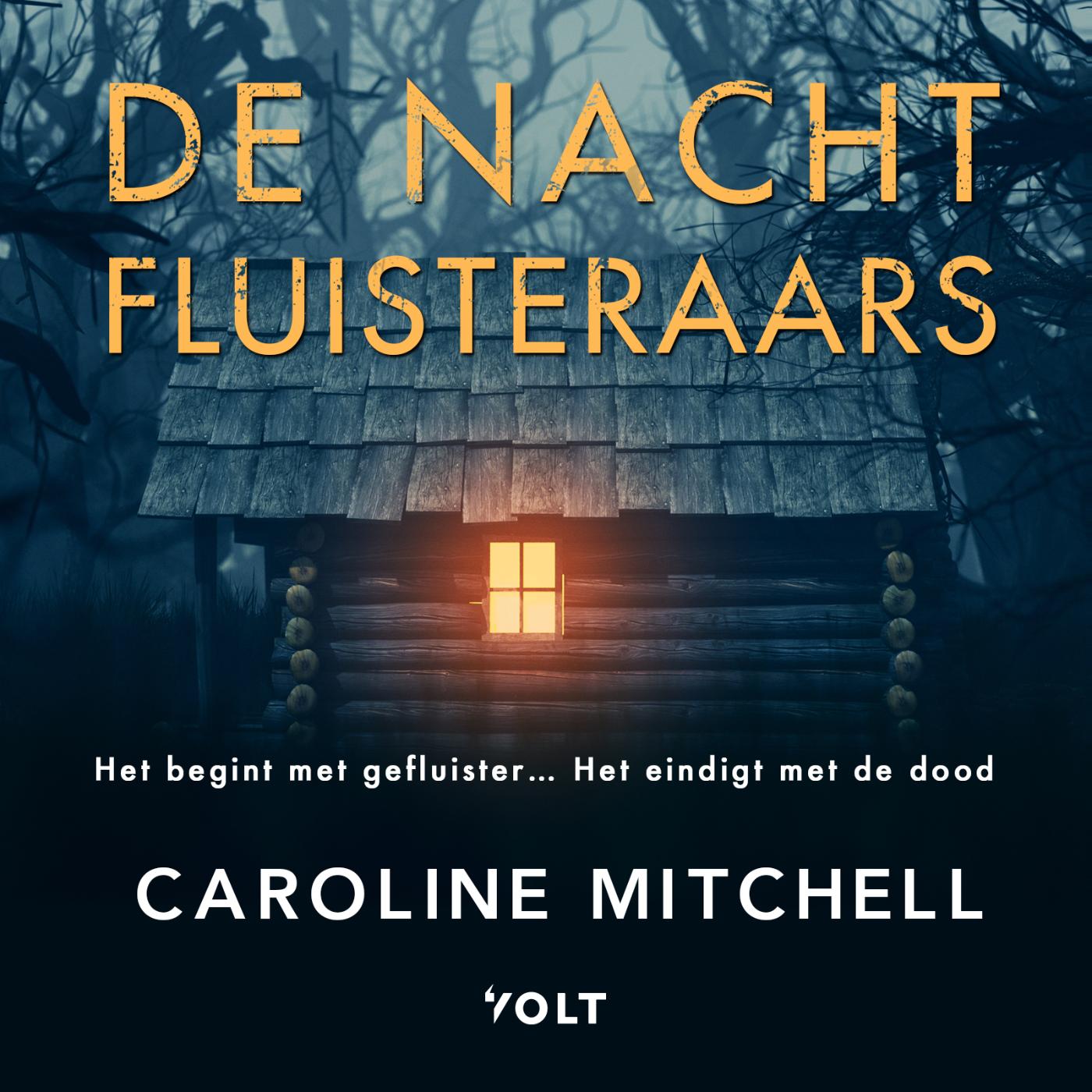 Omslag van De nachtfluisteraars