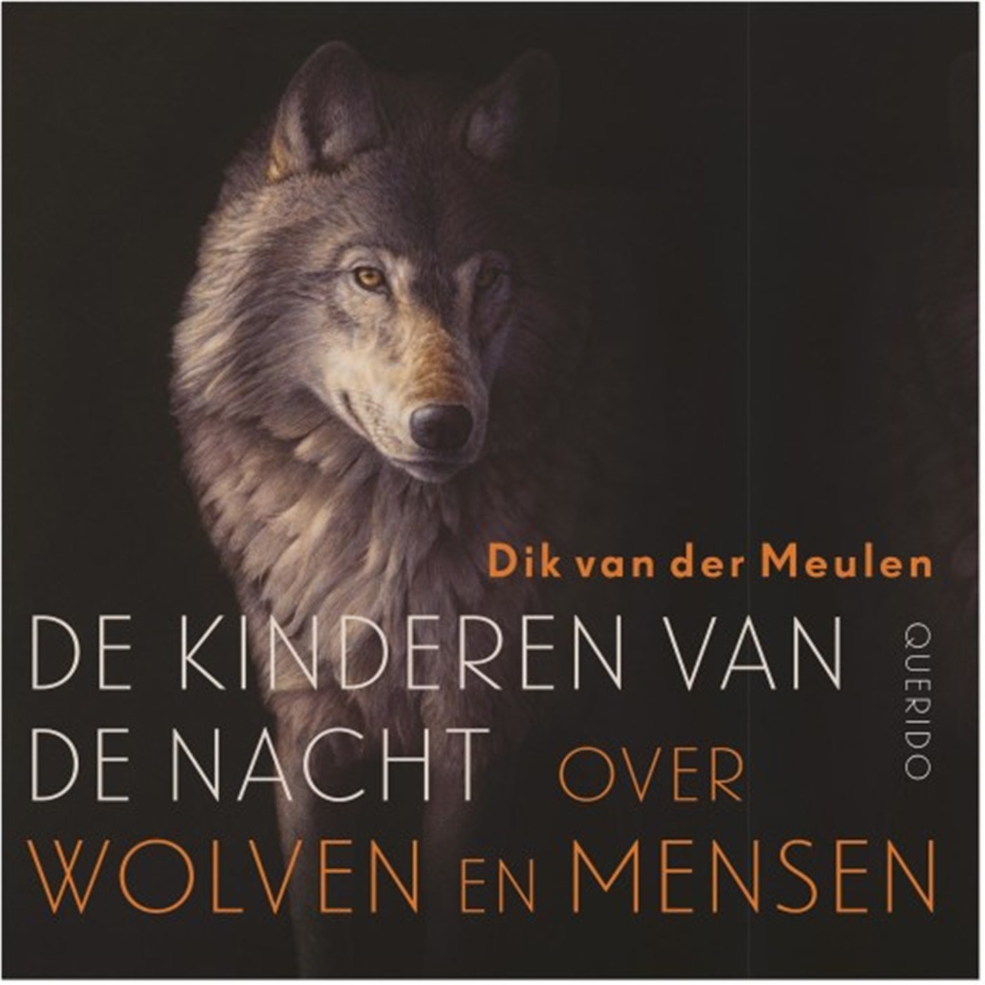 Omslag van De kinderen van de nacht