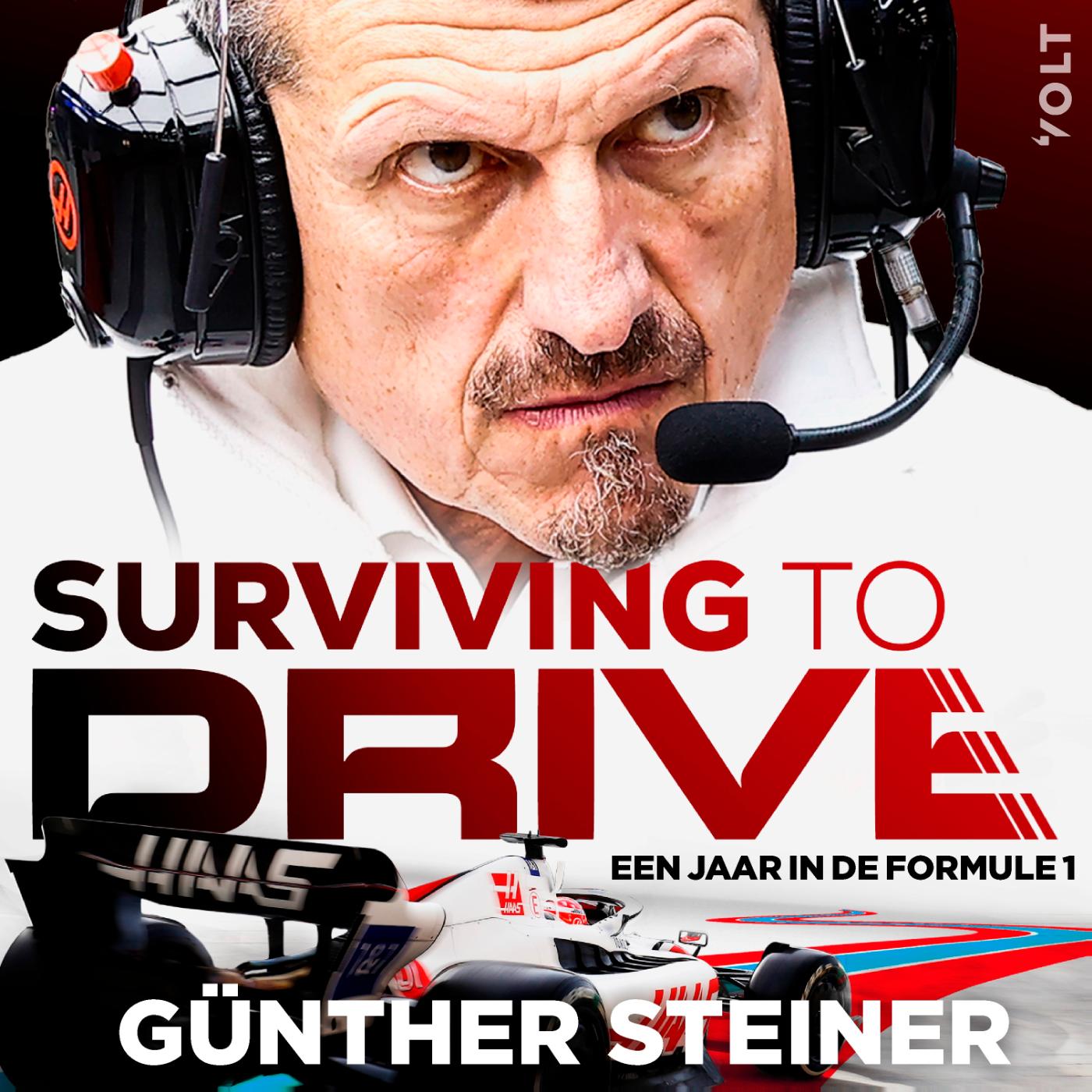 Omslag van Surviving to drive