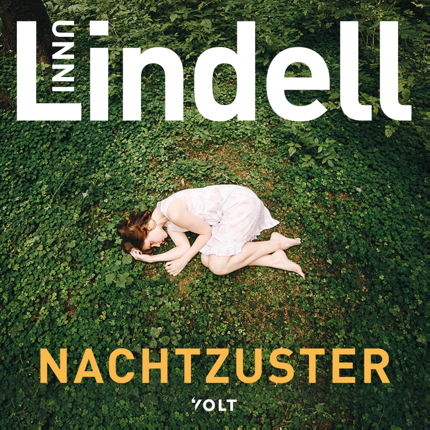Omslag van Nachtzuster