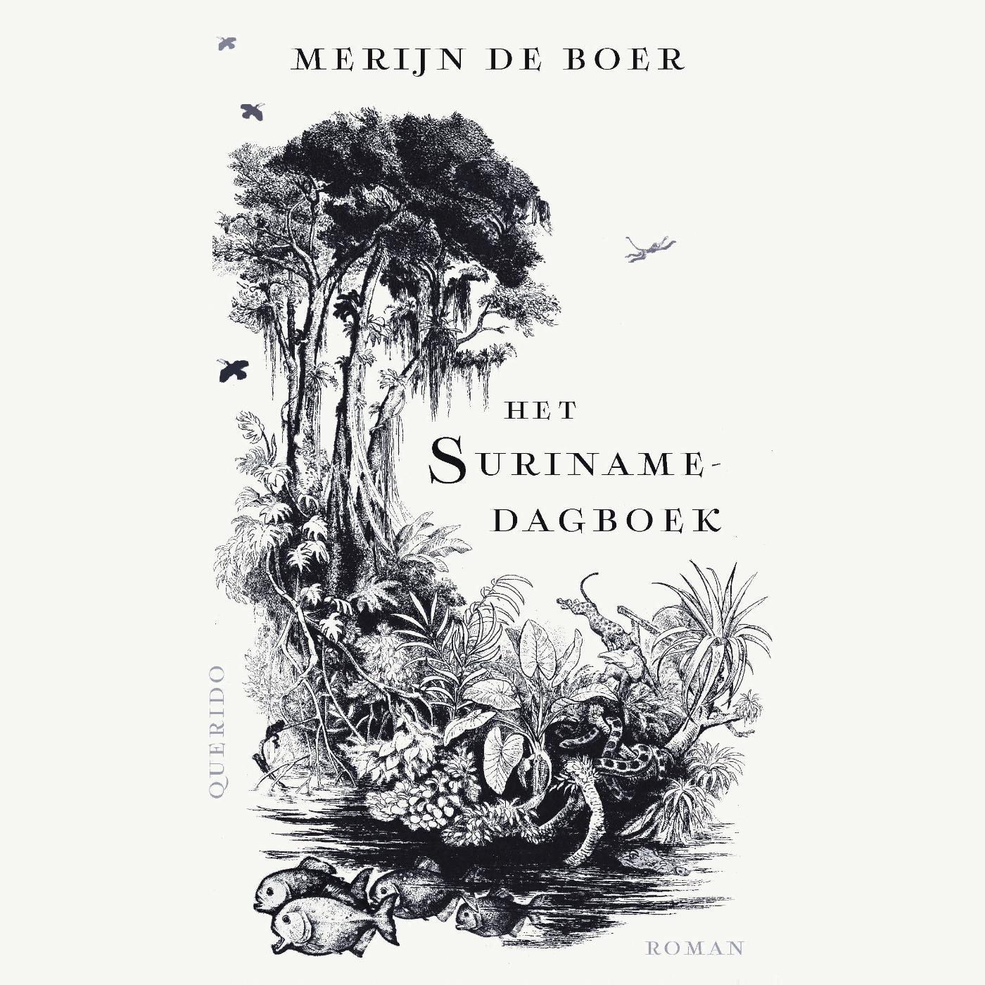 Omslag van Het Surinamedagboek