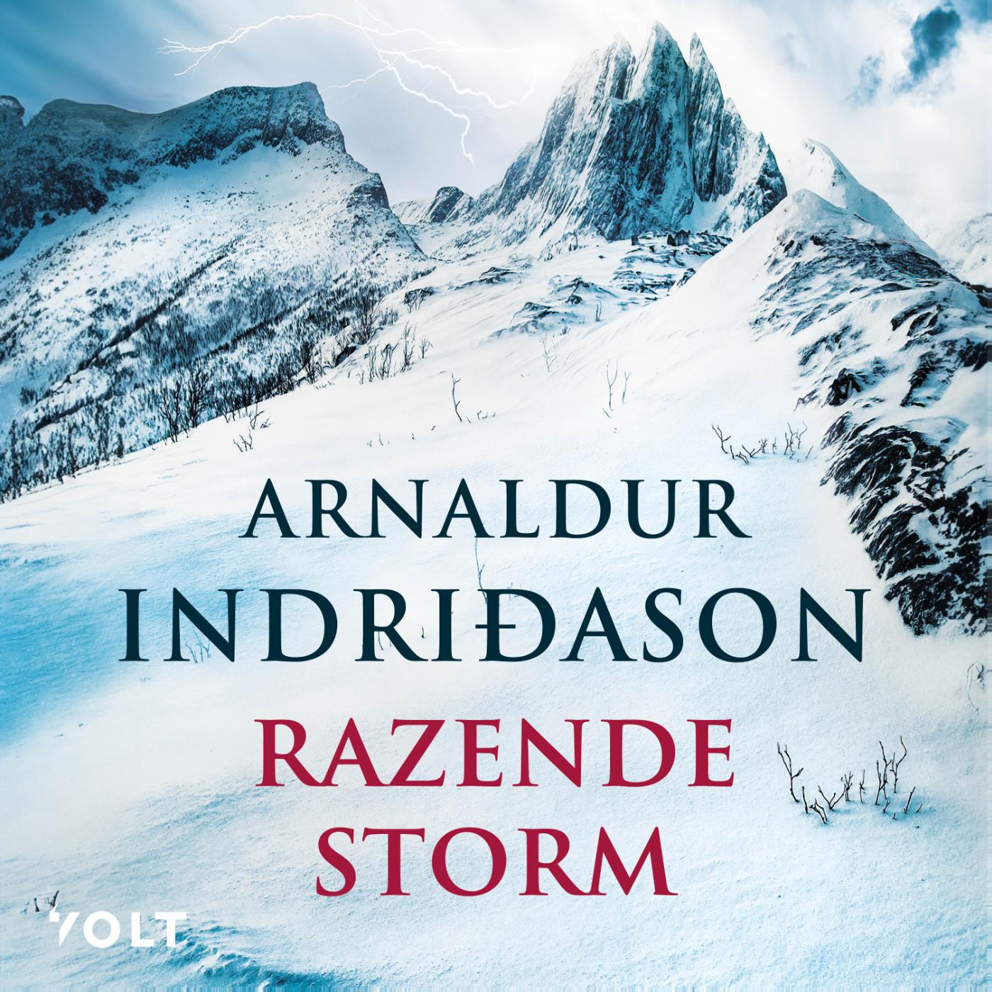 Omslag van Razende storm