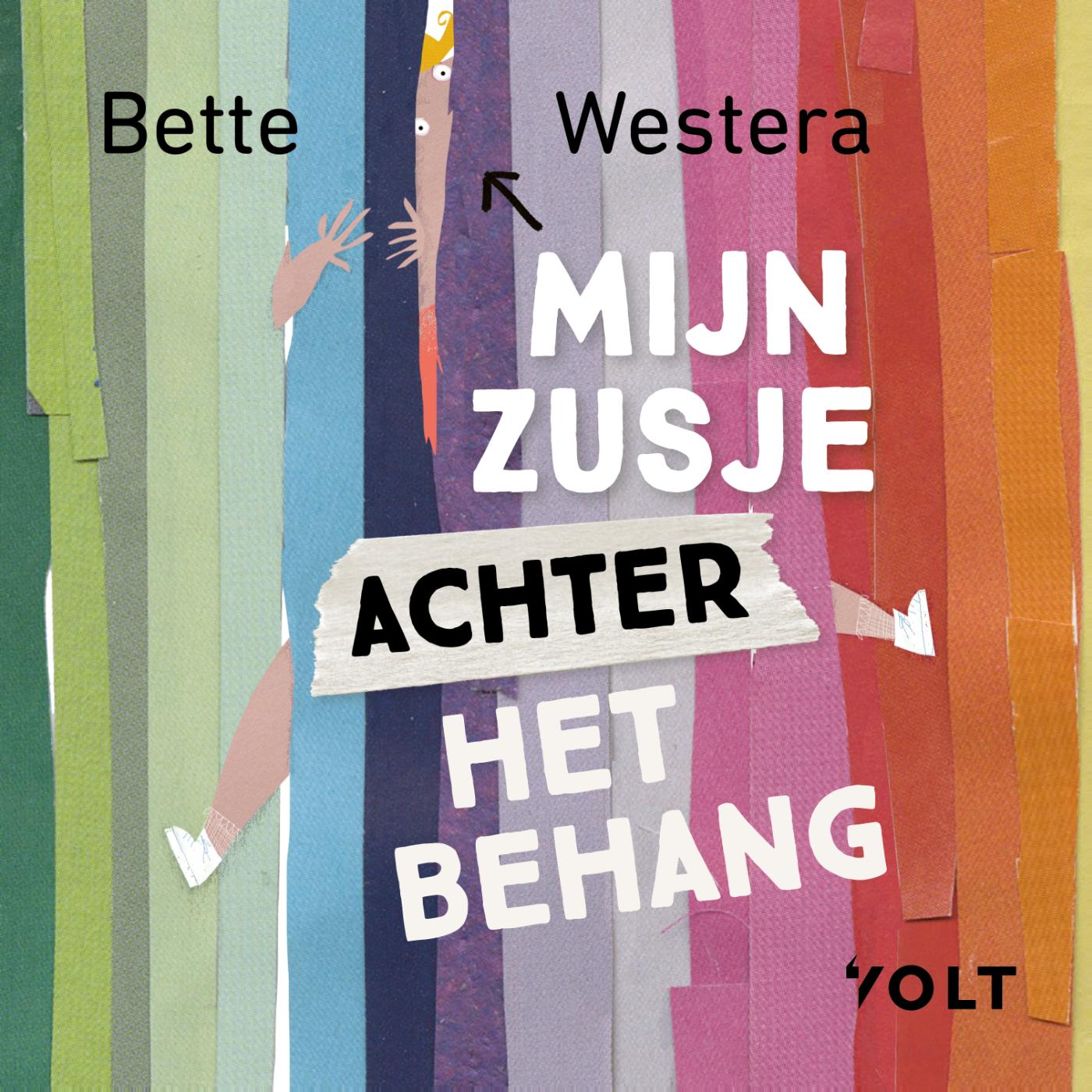 Omslag van Mijn zusje achter het behang